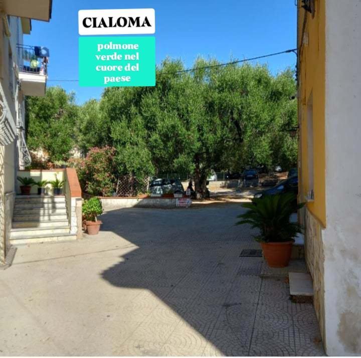 Cialoma Full Green Marina di Camerota Habitación foto